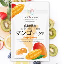 全農 ニッポンエール 宮崎県産マンゴーグミ ご当地グミ お菓子 フルーツグミ 果実グミ グルメ 名産 お土産 おみやげ