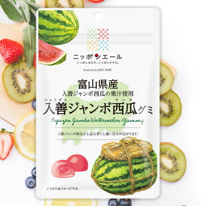 全農 ニッポンエール 富山県産入善ジャンボ西瓜グミ すいか スイカ ご当地グミ お菓子 フルーツグミ 果実グミ グルメ 名産 お土産 おみやげ