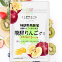 全農 ニッポンエール 岐阜県飛騨産飛騨りんごグミ りんご 林檎 ご当地グミ お菓子 フルーツグミ 果実グミ グルメ 名産 お土産 おみやげ(4)