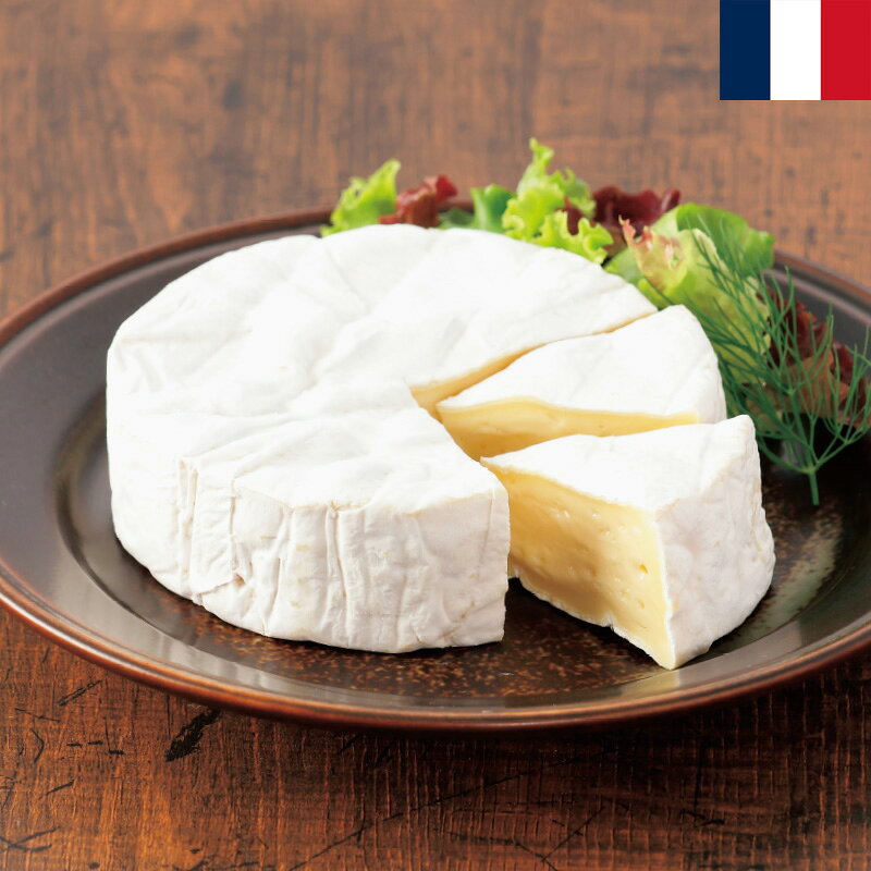 モンペール フランス産カマンベールチーズセット 250g×2個セット mon pere ノルマンディ地方産 フランス土産 フランスみやげ 別送 直送 冷蔵