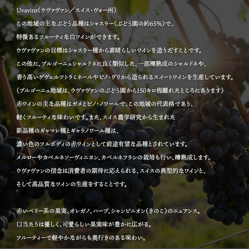 Uvavins Gamay ウヴァヴァン ガメ...の紹介画像2