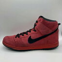 NIKE SB 11ss Dunk High Pro RED DEVIL 29.0cm 305050-600 iCL GXr[ _N nCv bhfr x]XyÁz