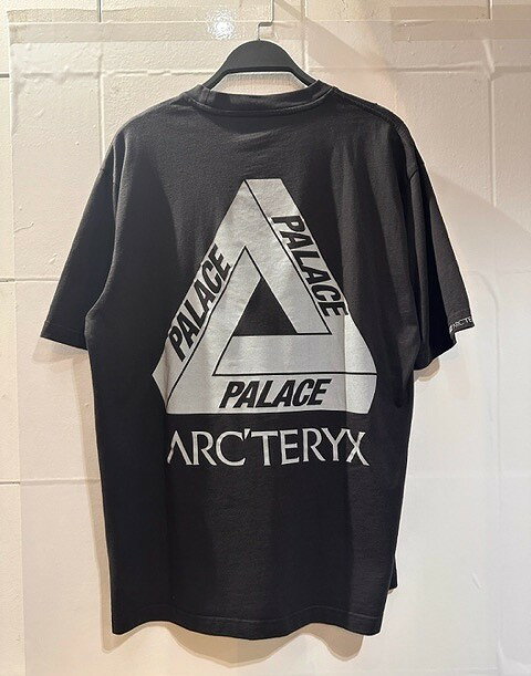 PALACE 20aw ARC'TERYX TEE XL ѥ쥹ߥƥꥯȾµT ٹŹš