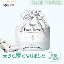 【驚き吸水力 送料無料】クレンジングタオル フェイスタオル 使い捨てタオル 70枚x2 140枚 メイク落とし おしりふき 手拭き 顔拭き 刺激無し 洗顔ペーパー エコタイプ コスパよい 敏感肌 使い捨て フェイシャルタオル ペーパー 衛生 コンパクト 乾湿両用 出張 旅行