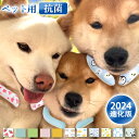 【COSMOS安全認証済!】ペット用 アイスクールリング 犬 クール ネック リング ネック バンド クールアイスリング 保冷 ネック クーラー 長持ち アイス...