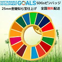 3個セット【インボイス制度対応】国連 正規品 SDGsバッジ SDGsピンバッジ 金色 25mm sdgs バッジ 強力 ラペルピン sdgs バッチ 襟章 帽...