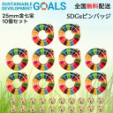 【国連本部公式最新仕様/インボイス制度対応】SDGs バッジ 25mm ミニ 金色丸み仕上げ【10個】sdgsバッチ ピンバッジ バッヂ ピンバッチ SDGs ...
