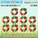 20個【国連本部公式最新仕様/インボイス制度対応】SDGs バッジ SDGs ピンバッジ SDGs バッチ 25mm ピンバッチ バッヂ 社章 タイタック 強力...