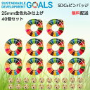 【国連本部公式最新仕様/インボイス制度対応】SDGs バッジ 【40個】国連 正規品25mm ミニ 金色 疑似七宝 丸み sdgsバッチ ピンバッジ バッヂ ピ...