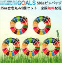 5個【国連本部公式最新仕様・インボイス対応】SDGs バッジ 25mm 国連 正規品 留め具 強力 ピンバッジ マグネット なし SDGsピンバッジ 金色 丸み...