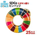2個入【法人/個人・インボイス対応】25mm 国連 SDGs バッジ 正規品 安全 sdgsピンバッジ 金色 丸み タイタック バッチ 金具 SDGs ピンバッ...