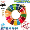 1個入【国連本部公式最新仕様】ボックス1個+留め具3個 SDGsバッジ 本物 丸型 25mm 金色 ピンバッジ 正規品 疑似七宝 ミニ バッジ 裏 留め具 強力...