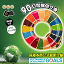【インボイス対応】国連 正規品 2個 sdgsバッジ ピン留め 25mm 金色 疑似七宝 SDGs ピン バッジ 丸み sdgsバッチ ピンバッチ SDGs 会...