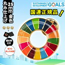 4個入【国連公式最新仕様・インボイス領収書発行】sdgs バッジ ピンバッジ 25mm 金色 国連 正規品 疑似七宝 SDGsピンバッジ マグネット なし sd...
