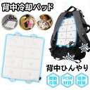★付けるだけでツクツク冷感!★ クール パッド 瞬間 冷却 クール シート 登山リュック ママリュック 自然凍結 TPU PCM 28℃ 冷感パッド ベビーカー 座布団 チェア 大人用 冷却 パッド 接触冷感 クールダウン 調節フック ランドセル クーラー 子供用 背あて アイス パッド