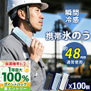 【インボイス対応】持ち歩き 携帯氷のう 最大48時間続く 長持ち 保冷 氷のう アイスパック 氷嚢 ミニ アイス パック ひょうのう 軽量 ボトル 水筒 魔法瓶 アイシング バッグ クーラー クール 首 冷却 リング 保冷バッグ 結露しない 暑さ対策グッズ ひんやり 冷感 携帯 保冷剤