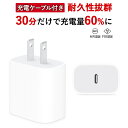 ＼激安コスパ！30分で最大60％まで充電／ iphone 充電器 対応 iPad/iPhone 20W 充電器 海外対応 海外旅行 PD充電器 AC充電器 PSE認証 防火カバー モバイル充電器 20WType-C機器 タイプc 充電器/充電器 iphone/スマホ充電器 アイホン充電器 急速 タイプシー 充電器