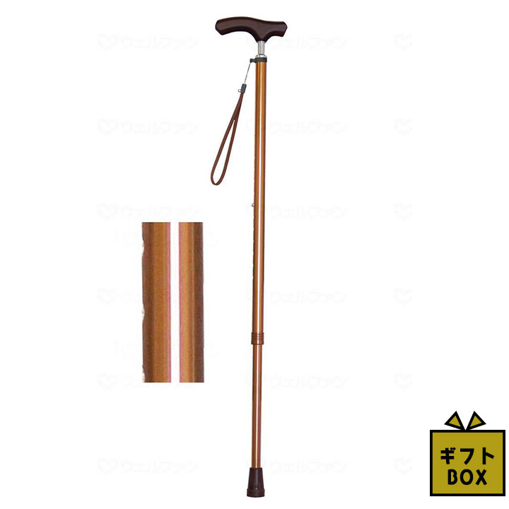 ���եȥܥå������� ������ե��� ̴�饤�ե��ƥå� �����ͥå����̥���ॿ����(̵��) �֥饦��