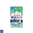 ケース販売deおしりふきプレゼント 吸水ナプキン チャームナップ 吸水さらフィ 長時間快適用 70cc 羽なし 23cm 1パック16枚入×24袋セットユニ・チ...