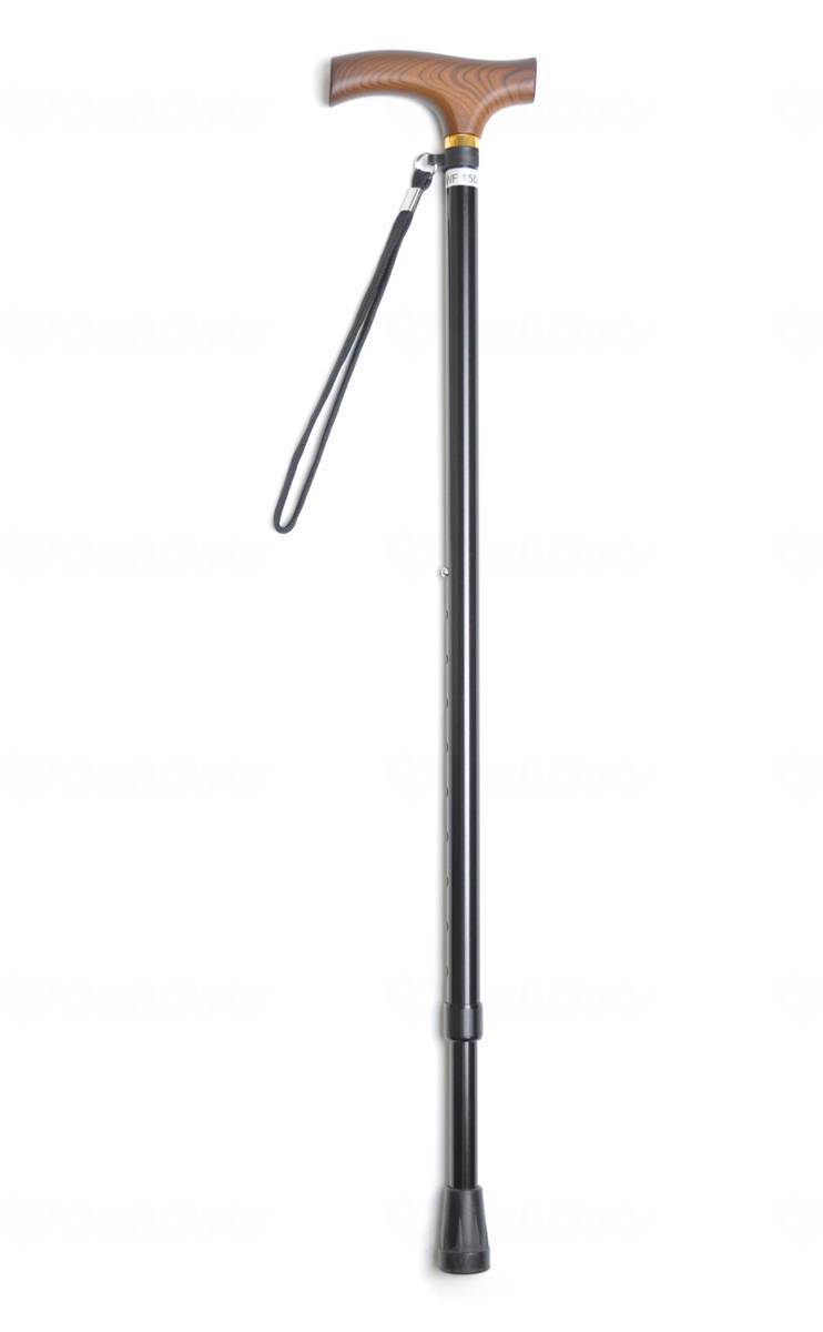 ̴�饤�ե��ƥå� ���̷�����ॿ���� / 9711 �֥�å�