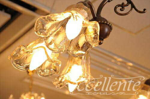 �� �����ꥢ�ȶ� �衼���åѲȶ� LS938815�����ꥢ�� �����ǥꥢ 15�� �ڥ����ꥢ��ȶ� �衼���ԥ���ȶ� ͢���ȶ� ����ƥ�����Ĵ��