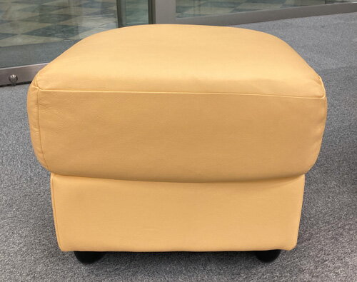 �����ꥢ�� �եåȥ��ġ��� ��ĥ�� �ߥ⥶ MT110FTA �����ꥢ�ȶ� �衼���åѲȶ� �����ꥢ��ȶ� �衼���ԥ���ȶ� ���饷�å��ȶ� ͢���ȶ� ����ƥ�����Ĵ