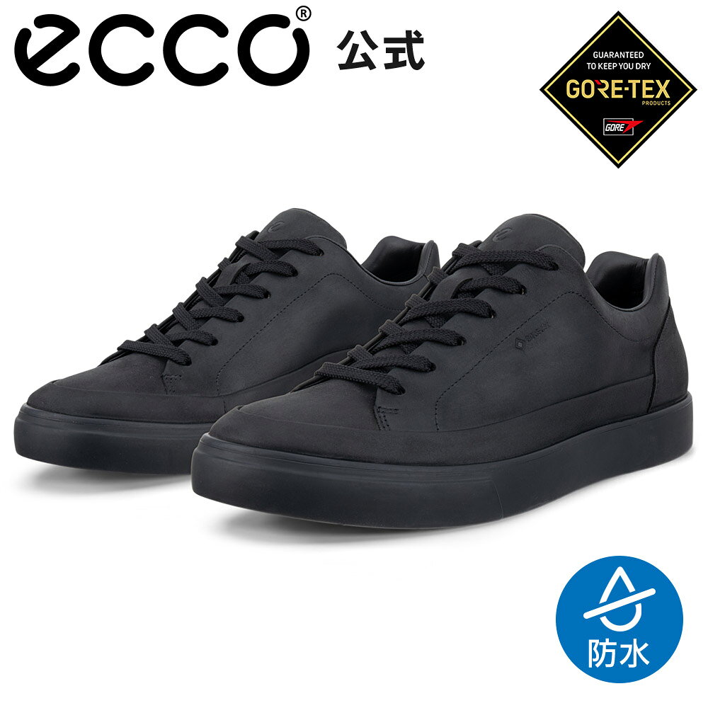 楽天市場】ecco 靴 ゴアテックスの通販