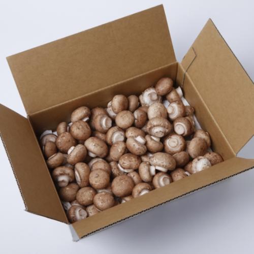 ブラウンマッシュルームA品 2kg箱 【岡山】業務用(生きのこ)※賞味期限出荷日より4日【クール便指定商品】【VC】のサムネイル