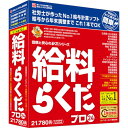 【送料無料】BSLシステム研究所 給与計算ソフト 給料らくだプロ24【NE直】