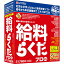 【在庫あり送料無料】BSLシステム研究所 給与計算ソフト 給料らくだプロ24【NE直】