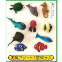 模擬店・縁日・イベント・お祭りに！ すくい大会のオプションに! お魚アソート 50ヶ入り