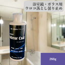 ナノミラーコート 260g 鏡 洗剤 鱗状痕 落とし 除去剤 ウロコ取り ウロコ除去 うろこ落とし ガラスコーティング クリーナー ガラス 浴室鏡 陶器 車 フ...