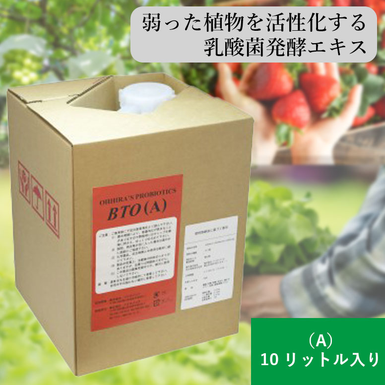 BTO（A） 10リットル 植物 元気 土壌活性 農業用 土壌改良剤 土壌改良材 稲 野菜 果樹 苺 花弁 茶 芝 収量 糖度 アップ 鮮度 保持 有機農法 モンパ病