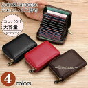 財布 レディース メンズ カードケース ミニ財布 パスケース 名刺入れ 磁気 スキミング防止 小さい 薄い 小銭入れ IDカードケース