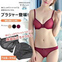 ブラジャー セットアップ ショーツ レディース 下着 無地 脇高 補正 谷間 脇肉 シースルー 透け感 上下セット 2点セット 全4色
