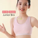 スポーツブラ スポブラ ジュニアブラ ノンワイヤー カップ付き 下着 ジュニア 女の子 ガールズ レディース 婦人 女性 シンプル ベーシック