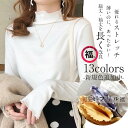 カットソー 秋冬 微起毛 柔らか あったかい プチハイネック レディース 長袖 インナー コーデ レイヤード カラバリー 重ね着 秋物 トップス