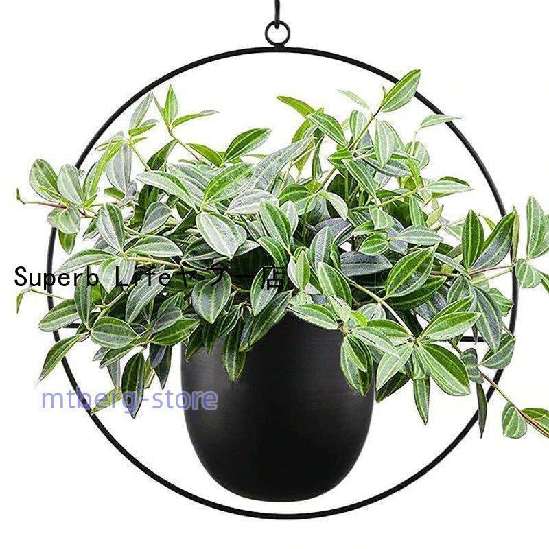 �ץ�󥿡� �ϥ󥮥� �ߤ겼�� �������� �Х����å� ������