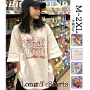 大きいサイズ レディース ビッグ Tシャツ 半袖 トップス カットソー 体型カバー オーバーサイズ S M L LL 3L 20代 30代 40代 大人 韓国フ...