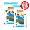 【お買い物マラソンポイント2倍 10/11 1:59まで】令和3年産 新米 10kg 新潟産こしいぶき お米 送料無料 (5kg×2) 精米 白米