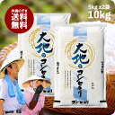 米 10kg 大地のコシヒカリ お米 国内産 低価格 安い 生活応援 セール 5kg2袋 送料無料（沖縄のぞく）