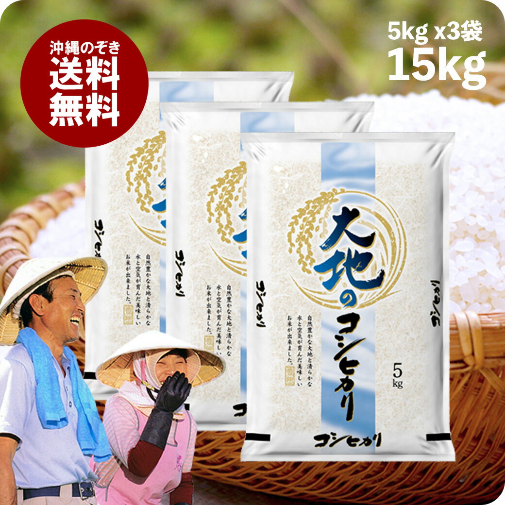 米 15kg 大地のコシヒカリ お米 国内産 低価格 安い 生活応援 セール 5kg3袋 送料無料（沖縄のぞく）