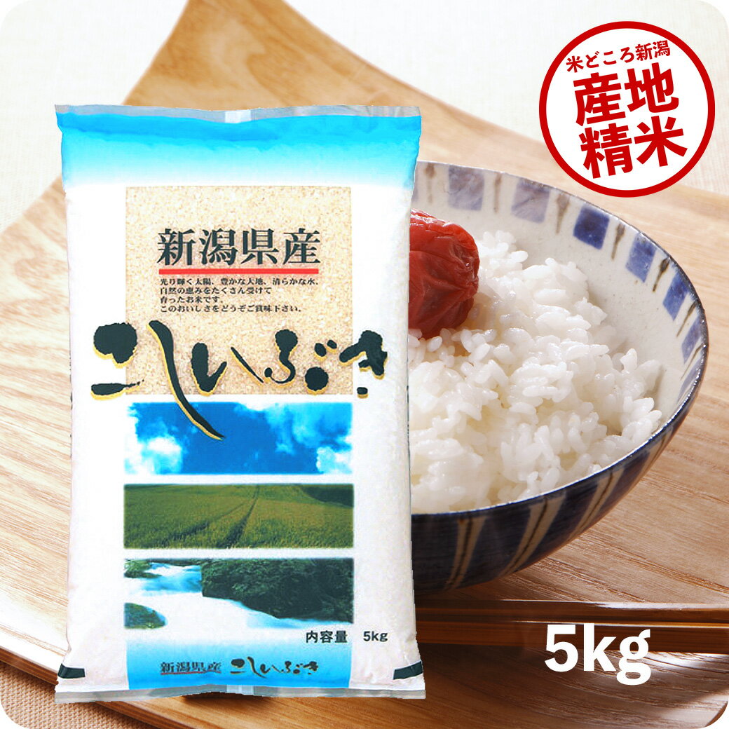 越後の稲穂屋 お米 【エントリーP5倍】米 5kg 新潟産こしいぶき お米 令和5年産 精米 白米