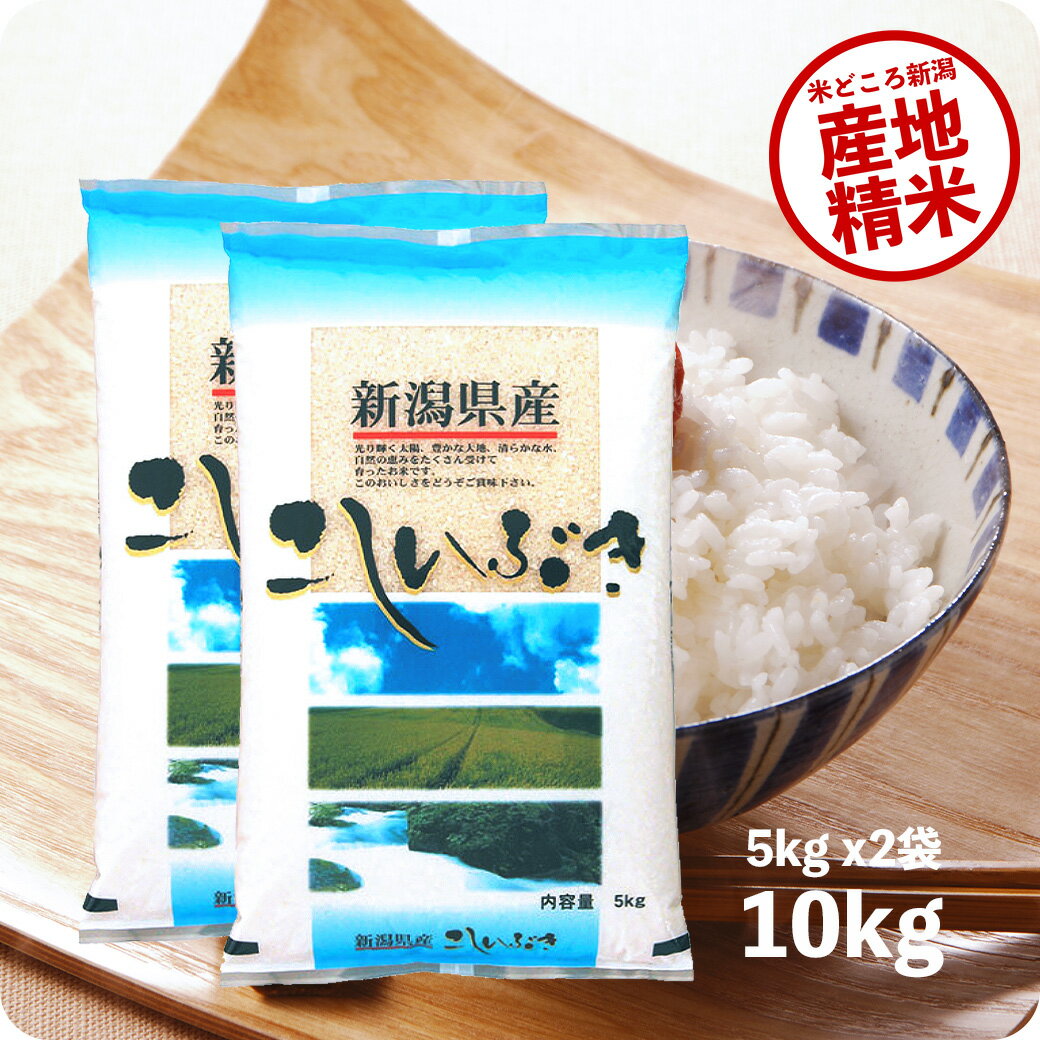 米 10kg 新潟産こしいぶき お米 令和5年産 精米 白米 5kg ×2袋 送料無料（沖縄のぞく）
