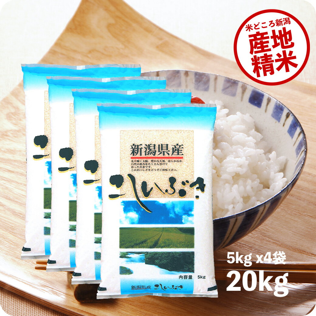 米 20kg 新潟産こしいぶき お米 令和5年産 精米 白米 5kg ×4袋 送料無料（沖縄のぞく）