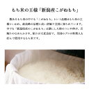 もち米 10kg 新潟産こがねもち お米 令和5年産 5kg x2袋 送料無料（沖縄のぞく） 2