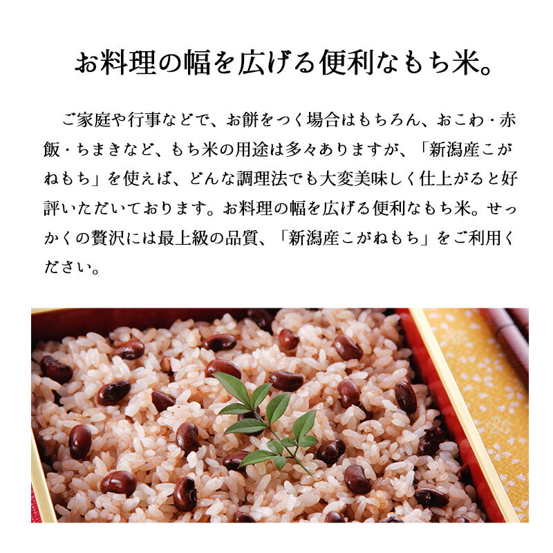 【エントリーP5倍】もち米 10kg 新潟産こがねもち お米 令和5年産 5kg x2袋 送料無料（沖縄のぞく） 3