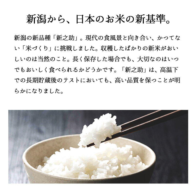 米 5kg 新之助 お米 令和5年産 一等米 新潟県産 しんのすけ 精米 白米 送料無料（沖縄のぞく）