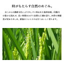 米 10kg 新潟産コシヒカリ お米 令和5年産 こしひかり 5kg ×2袋 精米 白米 送料無料（沖縄のぞく） 2