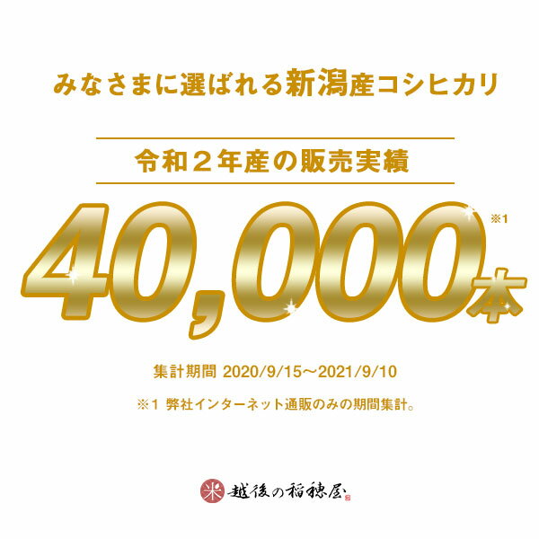 米 10kg 新潟産コシヒカリ 令和3年産 お米 【送料無料】 5kg ×2 精米 白米